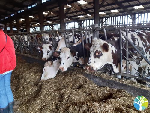Sortie à la ferme pour les CP